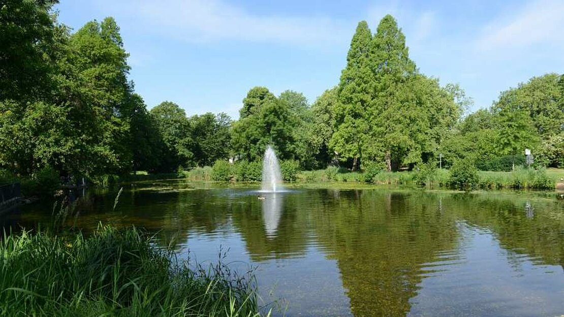 Foto: Park mit Teich 